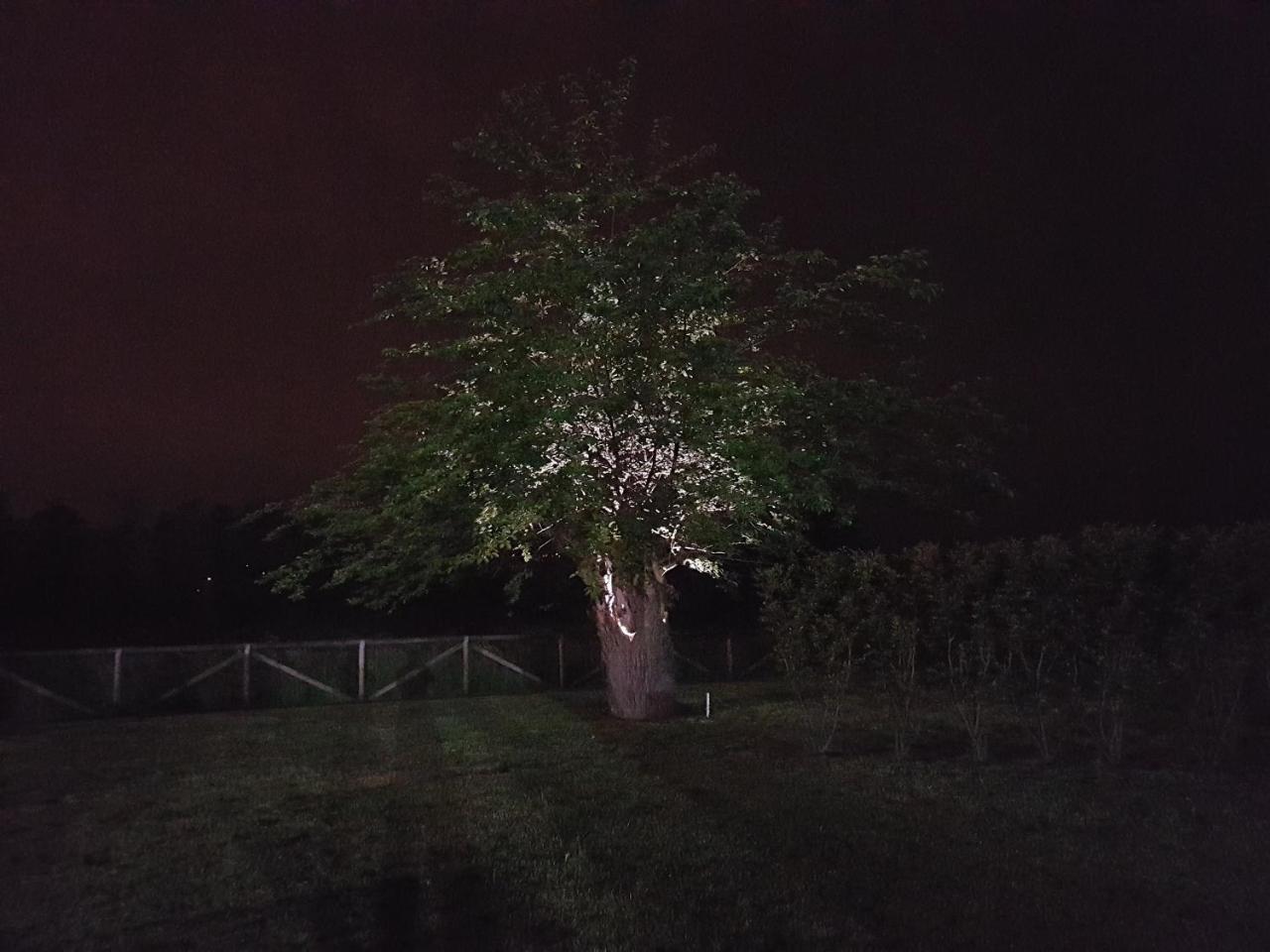 ויצ'נצה Locanda Veneta מראה חיצוני תמונה